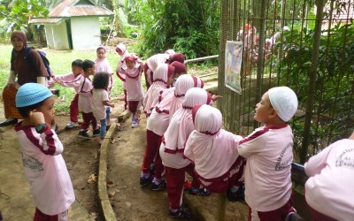 Kunjungan Ke Kebun Binatang