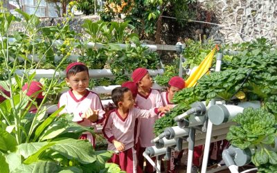Murid PAUD IT Al Hasanah Wisata Edukasi ke BPTP Bengkulu