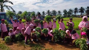 kunjungan-edukatif-murid-paud-it-al-hasanah-1-menjelajahi-kebung-kangkung-pak-tani-6