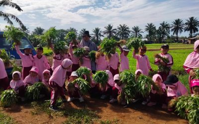 Kunjungan Edukatif: Murid PAUD IT Al Hasanah 1 Menjelajahi Kebun Kangkung Pak Tani