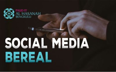 Social Media BeReal